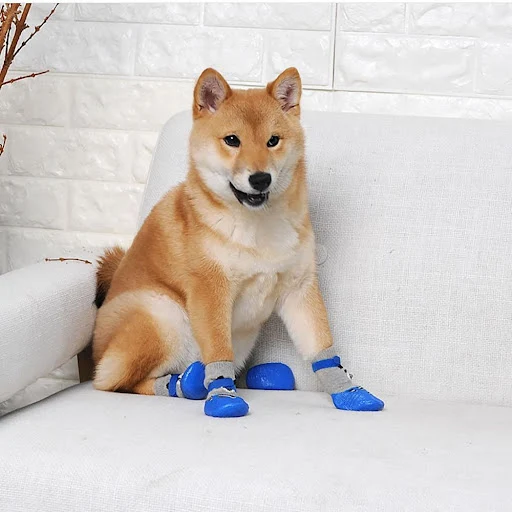 Waterproof Warm Rain Boots Outgoing Chihuahua Anti-Slip Pet socks Dogs Cats Footwear Pet Shoes Pet Booties