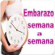 Embarazo Semana a Semana 1.0 Icon