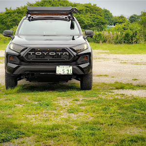 RAV4 MXAA54