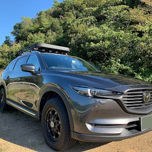 CX-8 KG2P