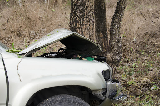 One of DialDirect's clients hit a tree late at night because he felt a "furry sensation" at his feet.