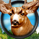 Download Jungle Deer Sniper Hunter For PC Windows and Mac 1.0