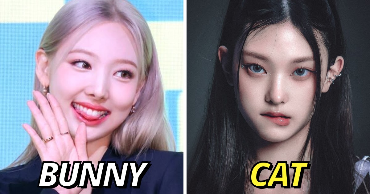 Here Are The 5 Types Of Animal Faces That Female Celebrities Have,  According To Netizens - Koreaboo