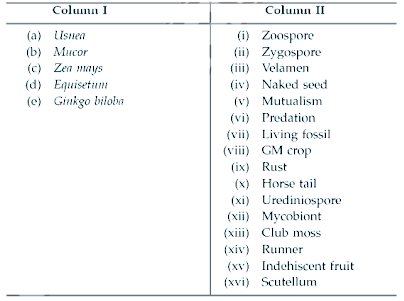 Classification of Plant Kingdom