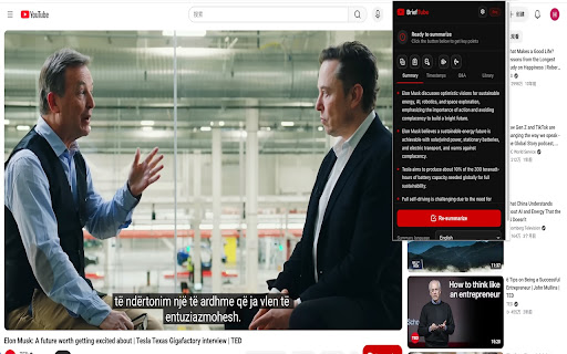 Sumreel — AI YouTube Video Summarizer screenshot 1