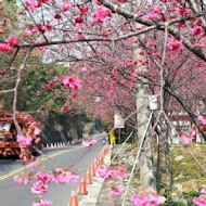 千樺花園餐廳