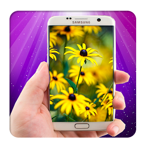 HD Wallpapers (Backgrounds HD).apk 1.0