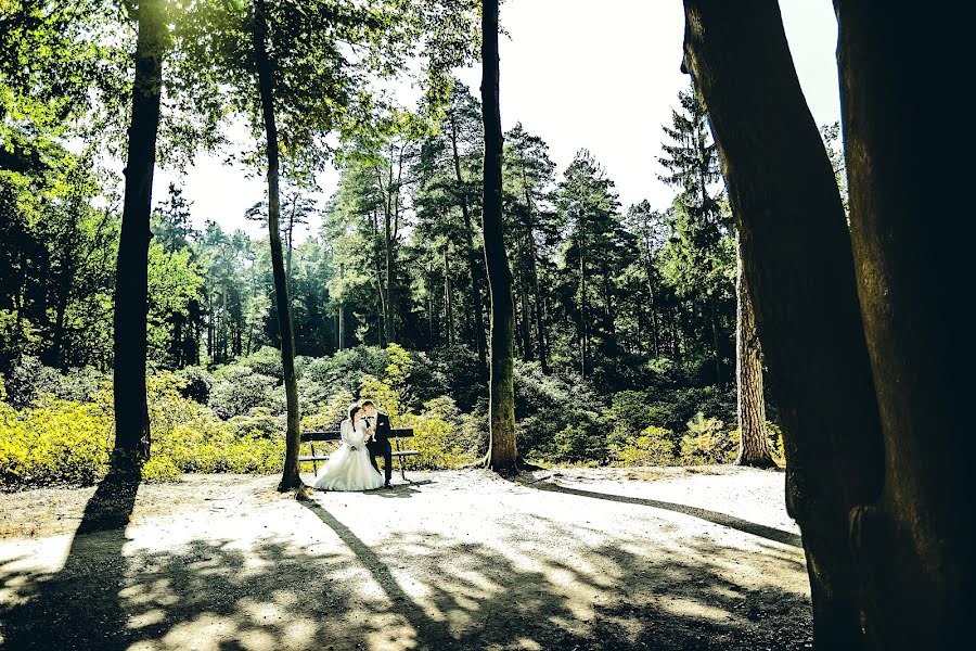 Fotógrafo de bodas Julia Tomasz Piechel (migafka). Foto del 15 de enero 2017