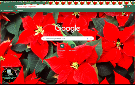 Red Poinsettia Flowers small promo image