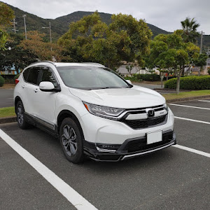 CR-V RW1