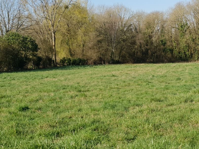 Vente terrain  771 m² à Pommeuse (77515), 108 000 €