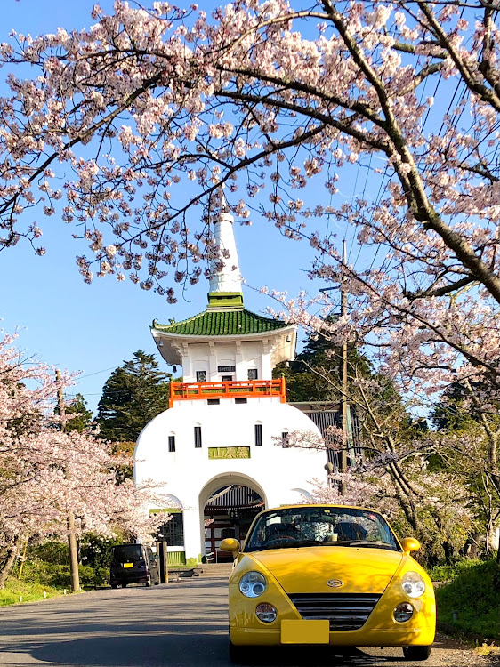 コペンのコペ散歩🐾・桜と愛車に関するカスタム事例の投稿画像5枚目