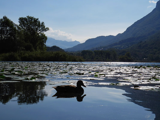 riserva naturale lago di Piano di paul mal