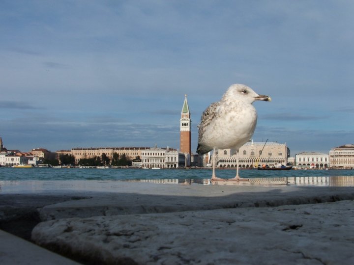 In posa ai piedi di San Marco di Dilulape