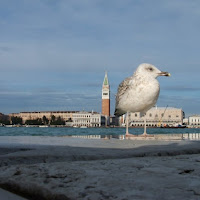 In posa ai piedi di San Marco di 