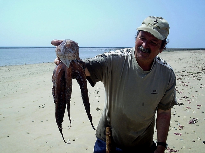 Pescatore di polipi di roberto-copeta