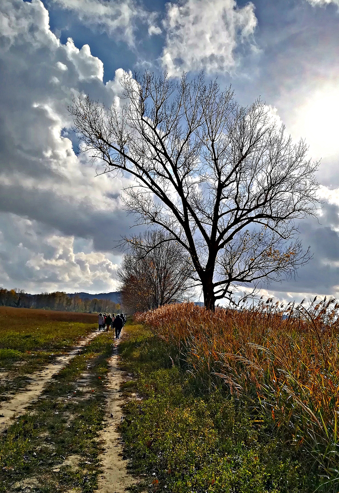 Lungo il viottolo di campagna di FransuaR