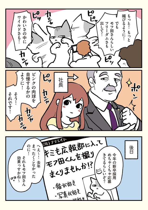 モフ田くんと広報くん ブラック企業の社員が猫になって人生が変わった話 モフ田くんの場合 4 連載 Trill トリル