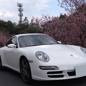 911 クーペ カレラGTS