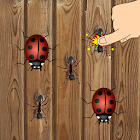 Tap Ant Smasher To kill Ants 1.0