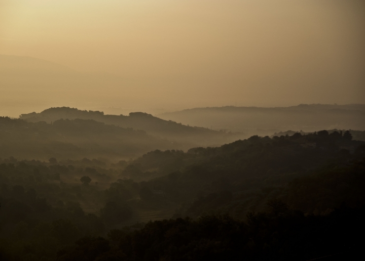 ALBA MORBIDA di Tiziana Detoni