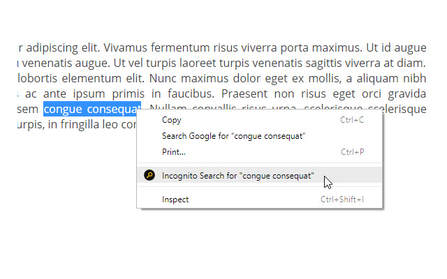 Incognito Search Plus