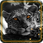 Cover Image of डाउनलोड Snow Leopard Sounds 1.0 APK