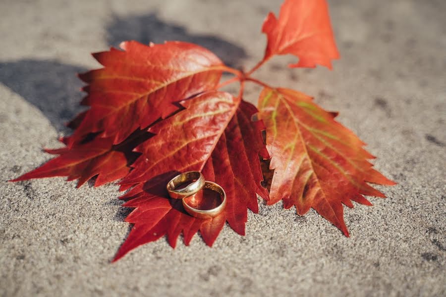 Fotógrafo de casamento Paweł Pchełas (pchelap). Foto de 25 de fevereiro 2020