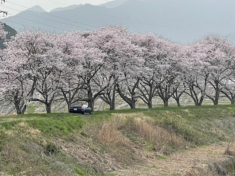 の投稿画像2枚目