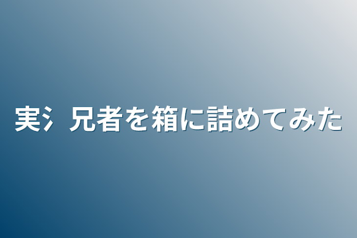 「実氵兄者を箱に詰めてみた」のメインビジュアル