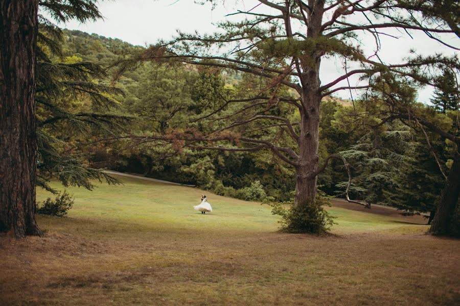 Fotografo di matrimoni Aleksandr Bondar (sadownik). Foto del 30 aprile 2015