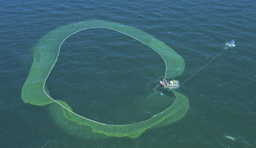 fishing season in phu yen vietnam