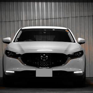 CX-30 DMEP