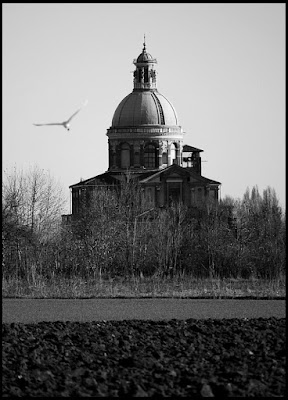 OSPITI DELLA CAMPAGNA di comali