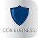 Cox Business Security Solutions Surveillance icon