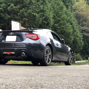 BRZ ZC6