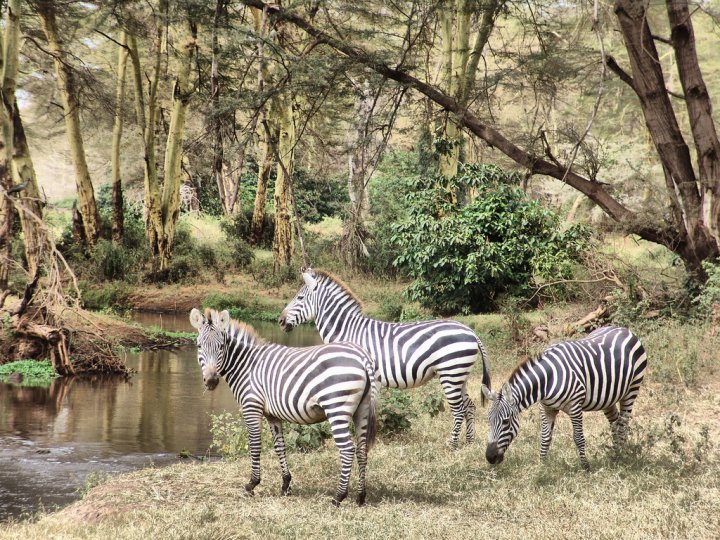 Yuventini in Kenya di RitaPetroni