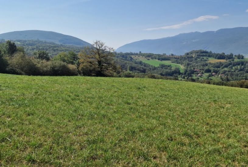  Vente Terrain + Maison - Terrain : 518m² - Maison : 95m² à Desingy (74270) 