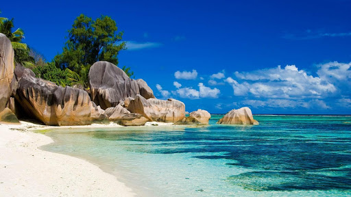 Anse Lazio Live Wallpaper