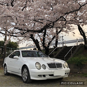 CLK クーペ C208