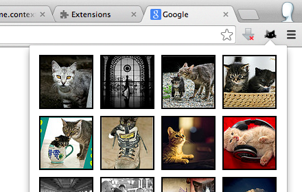 Kittens Preview image 0