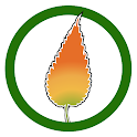 Neem Tree - KISAN: Farming App