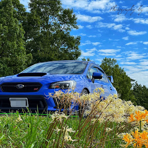 WRX STI VAB