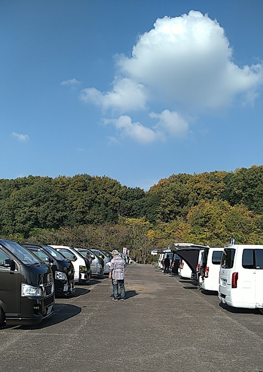スペーシアカスタムのたい焼き・キャラバン・オフ会覗いてみた・いまさら・ポケモンGOまだやってるに関するカスタム事例の投稿画像4枚目