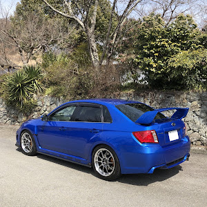 WRX STI