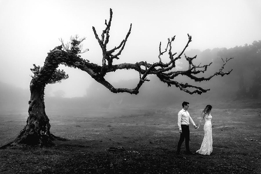 Fotografo di matrimoni Miguel Ponte (cmiguelponte). Foto del 5 aprile 2020