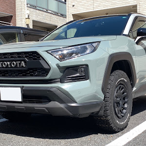 RAV4 MXAA54