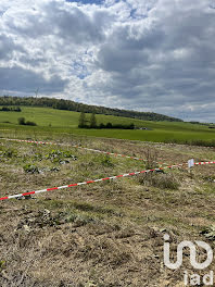 terrain à Saint-Pancré (54)