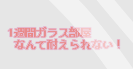 1週間ガラス部屋なんて耐えらんない！