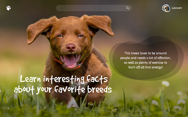 Pawtastic Dog & Puppy New Tab chrome extension